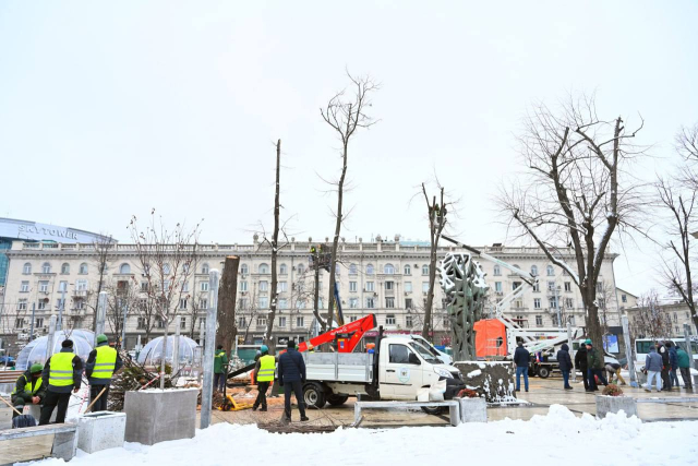 Silvotechnical works in Mihai Eminescu square in the capital
