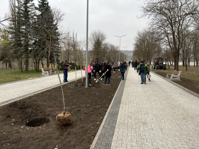 Акция по посадке деревьев в парке «Ла Извор»