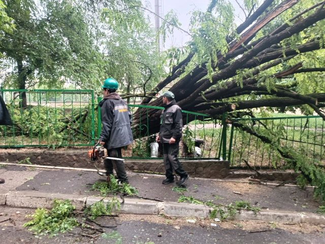 Действия муниципальных служб по ликвидации последствий сильного дождя