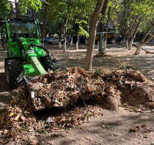 Desfășurarea campaniei de salubrizare de toamnă în municipiul Chișinău, săptămâna 02-08 octombrie 2023