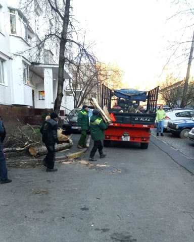 Половина аварийных ситуаций из-за дождя и сильного ветра, 27-28 марта, были устранены