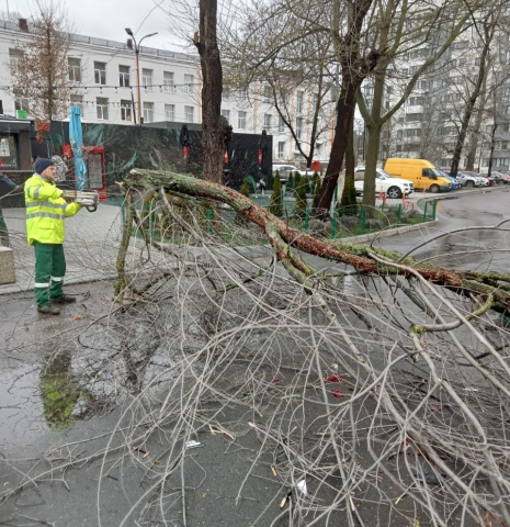 Во вторник все муниципальные службы были задействованы в устранении аварийных ситуаций из-за сильного ветра 27-28 марта