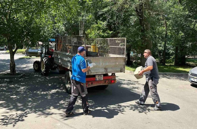 Демонтаж и вывоз несанкционированных антипарковочных устройств на муниципальной земле