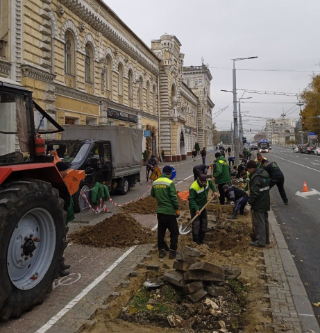 Посадка молодых деревьев вдоль бульвара Штефана чел Маре ши Сфынт, на участке ул. М. Эминеску - ул. А. Пушкина, нечетная сторона