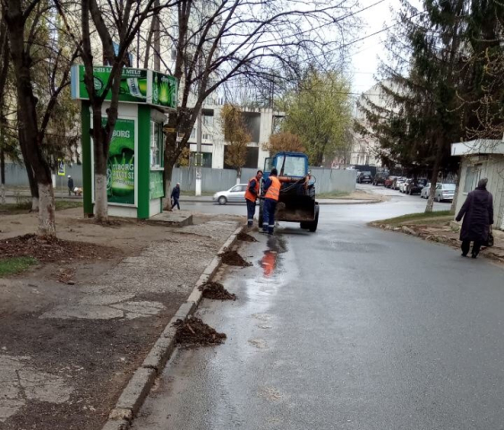 Intervenția zilnică a serviciilor municipale în cadrul Campaniei de salubrizare de primăvară