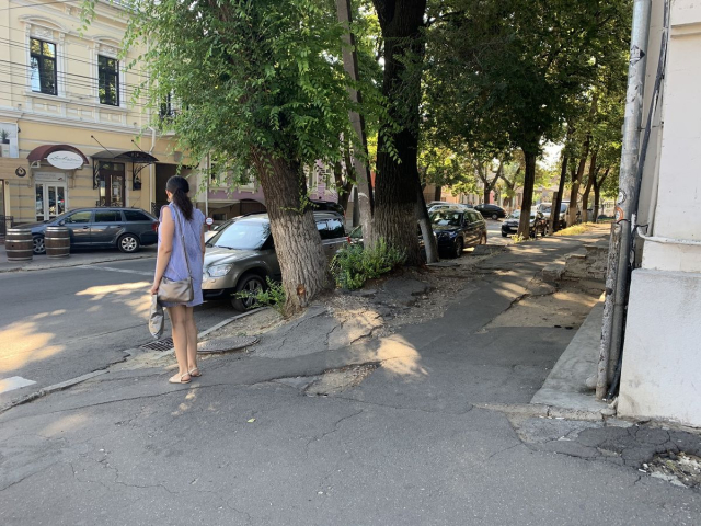 Arborii aflați în stare necorespunzătoare, de pe str. Mitropolit G. Bănulescu - Bodoni și A. Pușkin, vor fi curățați sau tăiați, în scopul facilitării procesului de reabilitare a trotuarelor