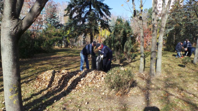 Totalurile acțiunii de colectare a frunzișului din Chişinău 