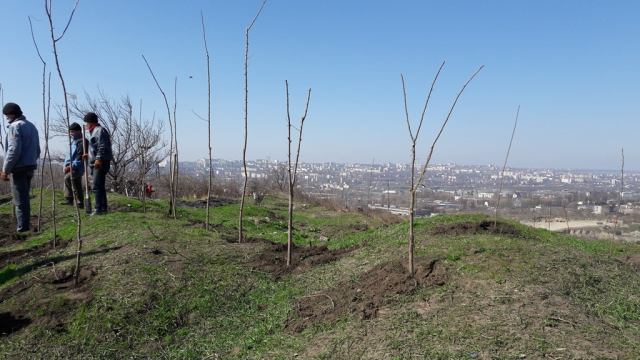 Conservarea depozitelor de stocare a deşeurilor din str. Uzinelor 