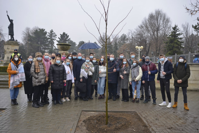 Plantarea celui de-al 100 001 copac, în cadrul Programului municipal de înverzire a capitalei(VIDEO)