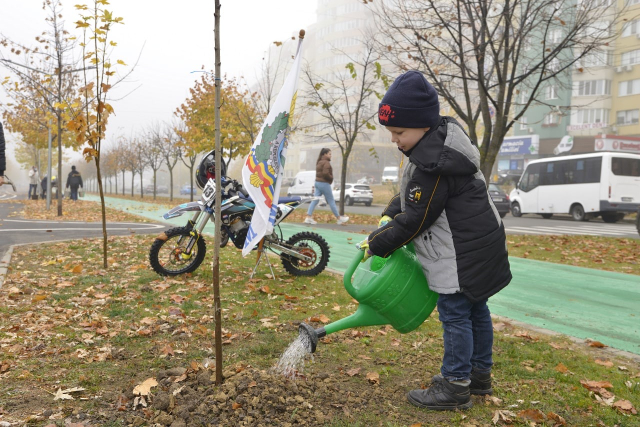 În capitală a avut loc o nouă acţiune de plantare a arborilor  