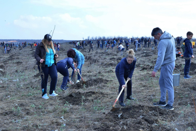 În capitală s-a desfășurat acțiunea „Plantăm fapte bune în Chișinău”