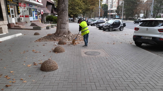 Осенняя кампания по уборке в муниципии Кишинэу