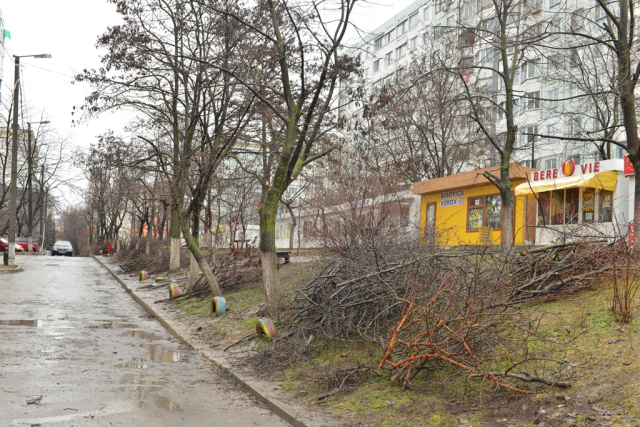 Primele acţiuni în cadrul campaniei de curățenie de primăvară „Facem curat lună!"