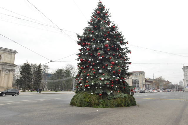 Inaugurarea Pomului de Crăciun şi aprinderea luminilor de sărbătoare 