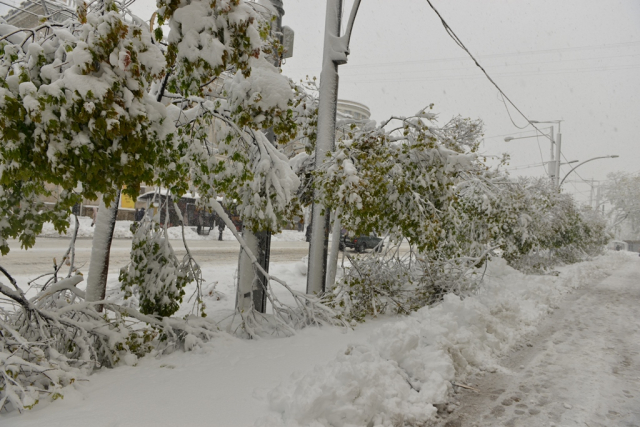 Ora 13.00: Situaţia în Chişinău, ca urmare a condițiilor meteo 