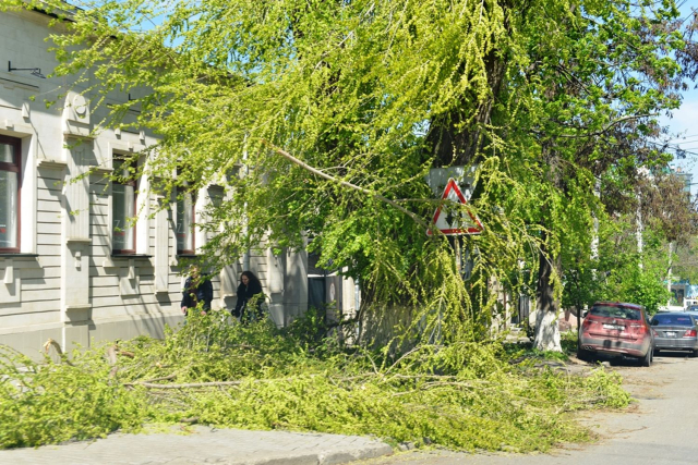 Angajat al Şcolii primare nr. 90, decedat după ce a fost doborât de un copac