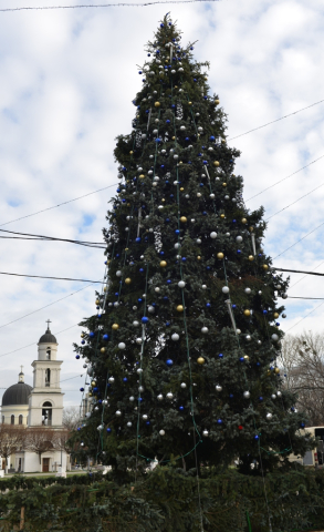 Inaugurarea Pomului de Crăciun şi aprinderea luminilor de sărbătoare