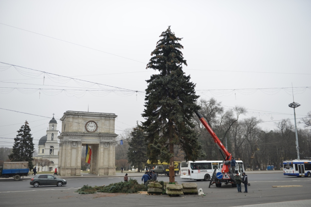 Instalarea bradului de Crăciun