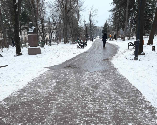 Situația în oraș privind deszăpezirea și circulația transportului public 