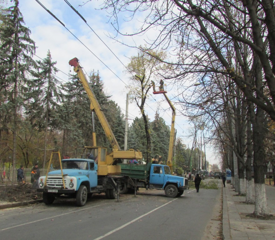 Desfăşurarea lucrărilor de curăţare a arborilor 