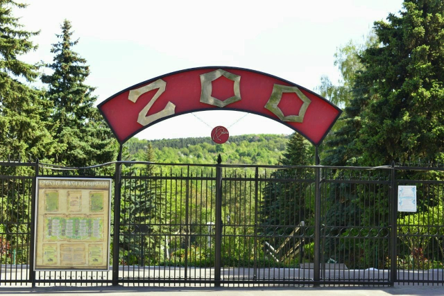 Amenajarea a 2 voielere pentru urșii și lupii de la Grădina Zoologică din capitală