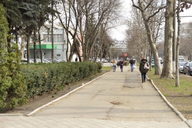 В секторе Буюкань будут отремонтированы две зеленые общественные зоны