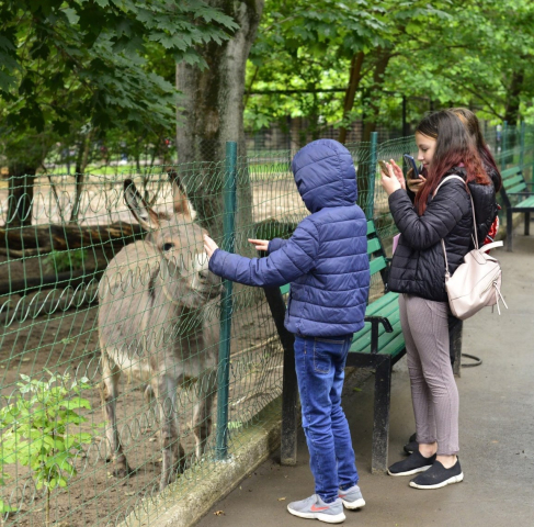 Grădina Zoologică din capitală și-a reluat activitatea