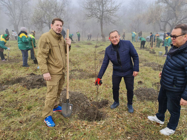 A fost lansată Campania de plantare a arborilor în orașul Chișinău, ediția 2022