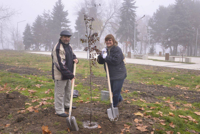 Sâmbătă, 19 noiembrie, va fi organizată o nouă acțiune de plantare a arborilor, în cadrul Campaniei de înverzire în orașul Chișinău, ediția 2022 