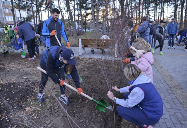 
Посадка деревьев и кустарников в секторе Центр, в сквере для людей с нарушениями зрения на улице Пьетрарилор