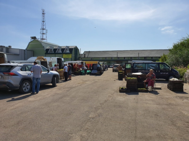 Comercializarea produselor agricole sezoniere în sectoarele capitalei 