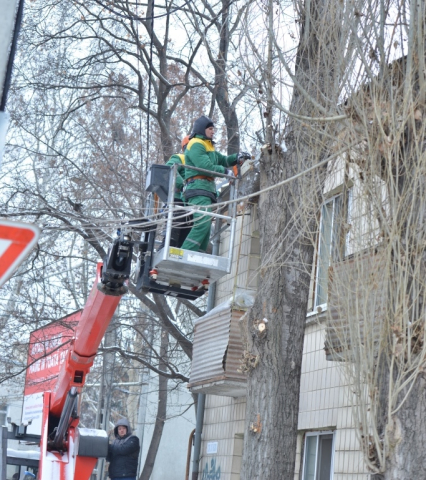 Suspendarea traficului rutier pe str. București, în legătură cu executarea lucrărilor de curățare a arborilor  