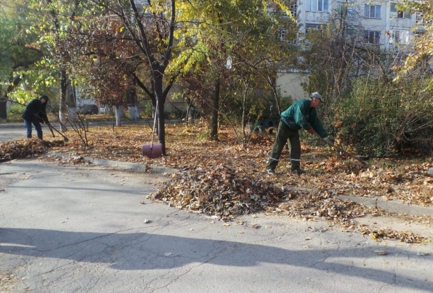 Призыв к экономическим агентам и населению касательно поддержания чистоты в городе