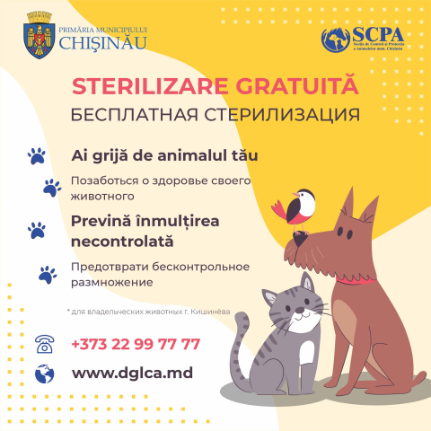 Sterilizare gratuită a animalelor de companie (câini și pisici) cu stăpân 