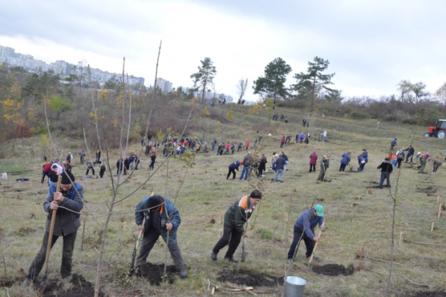 10 noiembrie 2018 - Ziua de Înverzire în municipiul Chișinău