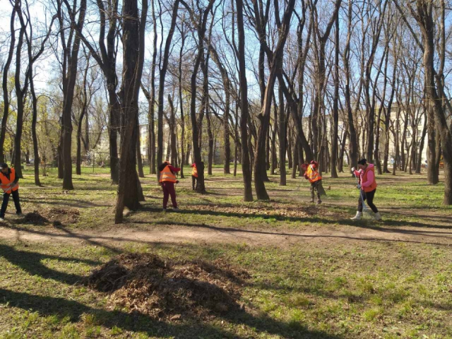 Intervenția zilnică a serviciilor municipale în cadrul Campaniei de salubrizare de primăvară