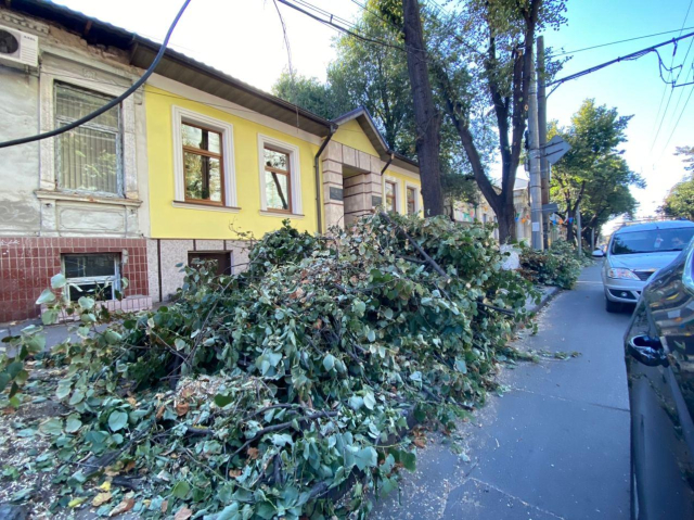 Lucrări de curățare și tăiere a arborilor, pe mai multe străzi din Chișinău