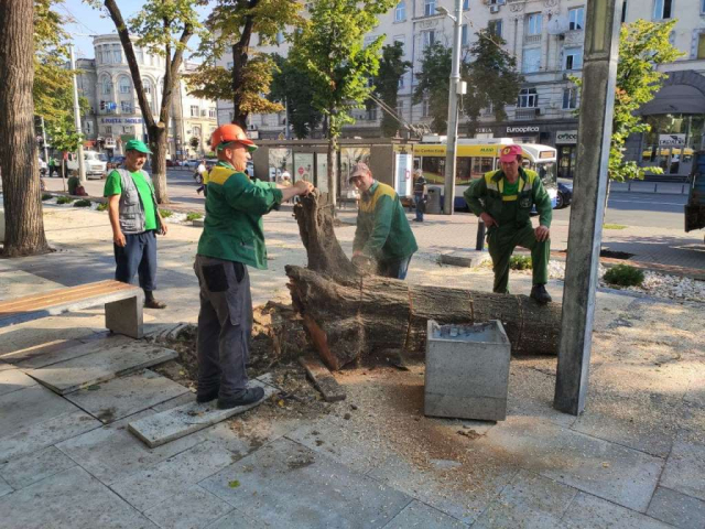 Toate serviciile municipale se află în teren pentru înlăturarea consecințelor ploii de joi seara