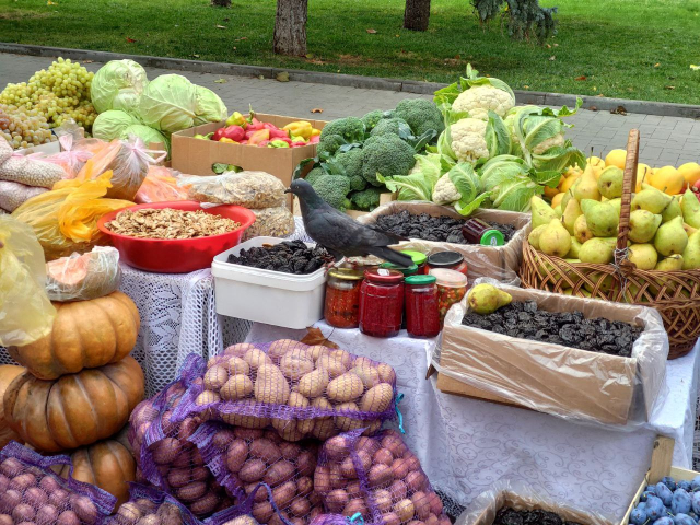 Организация ярмарок с отечественной продукцией в секторах столицы в выходные дни 10-11 декабря 2022