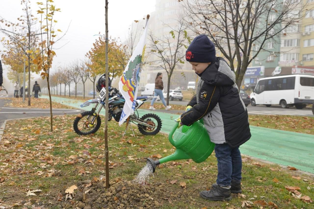 Lansarea campaniei de plantare a arborilor în Chișinău  