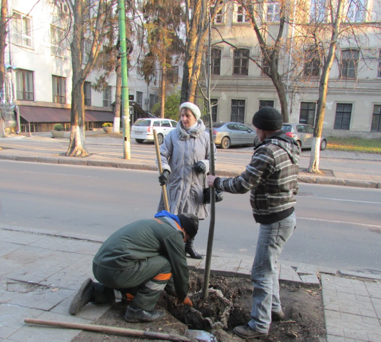 Plantarea copacilor în Parcul „Valea Trandafirilor"
