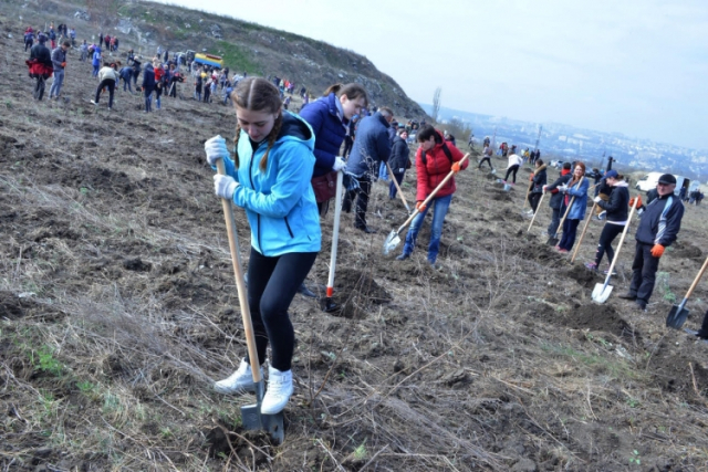 Pe 17 octombrie, a.c., se dă startul campaniei de plantare a arborilor pe teritoriul capitalei