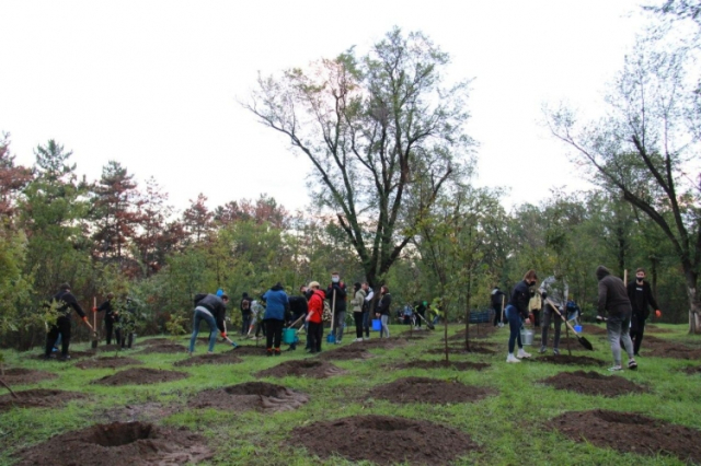 Acțiune de plantare a arborilor pe teritoriul municipiului Chișinău